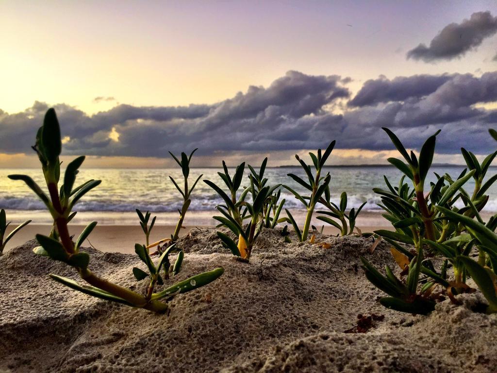 Stradbroke Island Beach Hotel Point Lookout Dış mekan fotoğraf